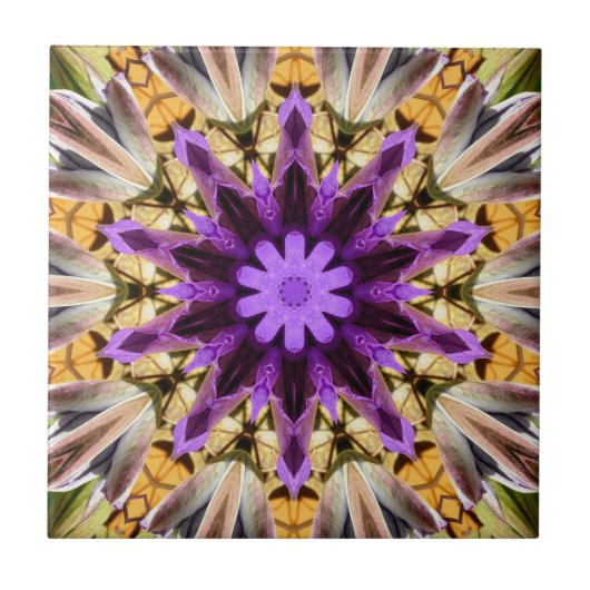 クレマティス タイル (正面)