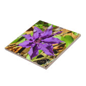 クレマティス タイル (側面)