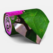 クレマティス ネクタイ (ロール)