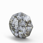 クレマティス フォトブロック (右)