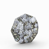クレマティス フォトブロック (左)