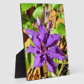 クレマティス フォトプラーク (側面)