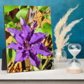 クレマティス フォトプラーク (側面)