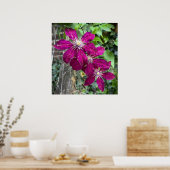 クレマティス ポスター (キッチン)