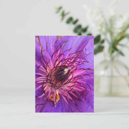 クレマティス ポストカード (スタンド正面)