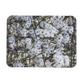 クレマティス マグネット (横)