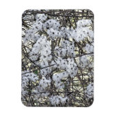 クレマティス マグネット (縦)