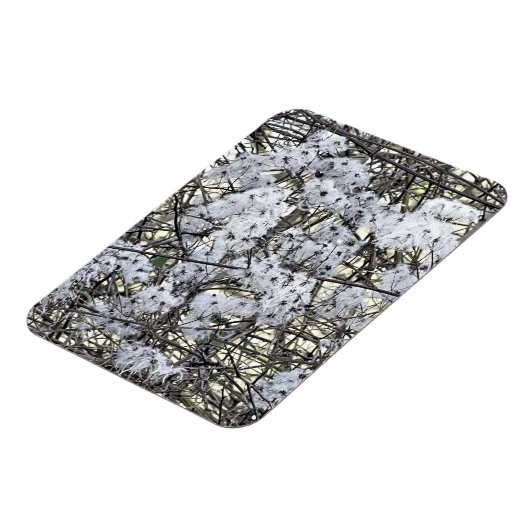 クレマティス マグネット (左側)