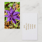 クレマティス 名刺 (正面/裏面)