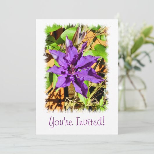 クレマティス 招待状 (スタンド正面)