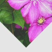 クレマティス 薄葉紙 (詳細)