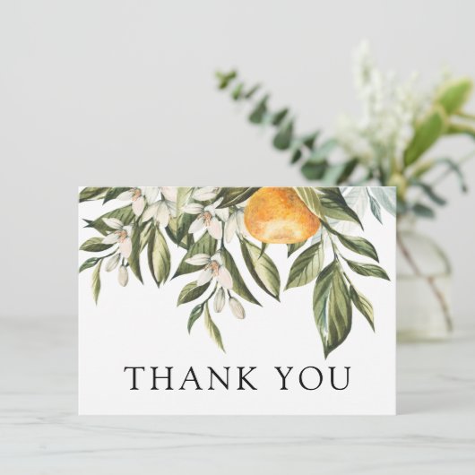 クレメンティンとグリーンのシャワー サンキューカード (スタンド正面)