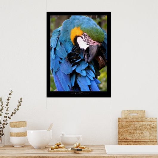 クレンジング ポスター (キッチン)