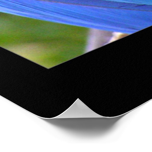 クレンジング ポスター (角)