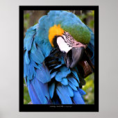 クレンジング ポスター (正面)