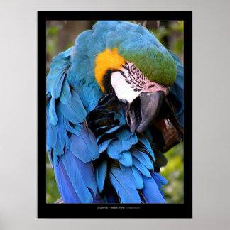 クレンジング ポスター