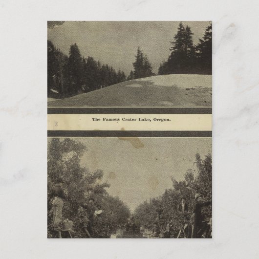 クレーターレイクオレゴン果樹園のシーン ポストカード (正面)