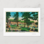 クレーターレイクロッジとオールドパインズクレーターレイク、または ポストカード (正面)