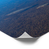 クレードル山とドーブレイクの反射 ポスター (角)