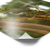 クレープマートルの木にモッキンバード フォトプリント            (角)