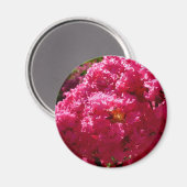 クレープマートルツリーマゼンタフローラ マグネット (正面/裏面)