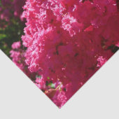 クレープマートルツリーマゼンタフローラ 薄葉紙 (詳細)