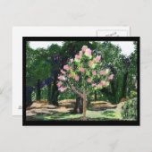 クレープマートルツリー ポストカード (正面/裏面)