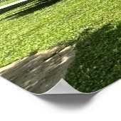 クレープマートルブッシュ、ポスター ポスター (角)