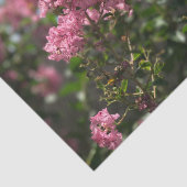 クレープマートルブロッサムティッシュペーパー 薄葉紙 (詳細)