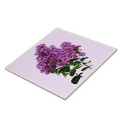 クレープマートル タイル (側面)