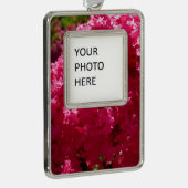 クレープ・ミルタの木 マゼンタの花 シルバープレートフレームオーナメント (右)
