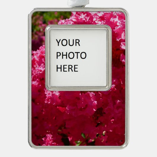 クレープ・ミルタの木 マゼンタの花 シルバープレートフレームオーナメント (正面)