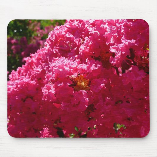 クレープ・ミルタの木 マゼンタの花 マウスパッド (正面)