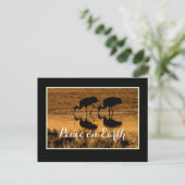 クレーンと地球の平和縁ど ポストカード (スタンド正面)