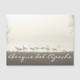 クレーンの霧ボスク・デル・アパッチ