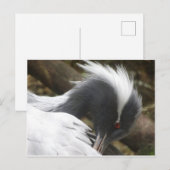 クレーンクローズアップDIYポストカード ポストカード (正面/裏面)