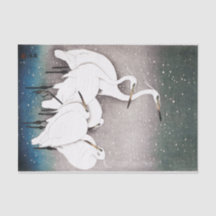 クレーンティッシュペーパー