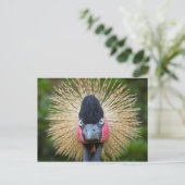 クレーンバードポートレート ポストカード (スタンド正面)