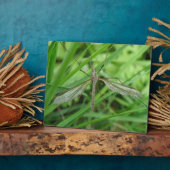 クレーンフライプラーク フォトプラーク (側面)