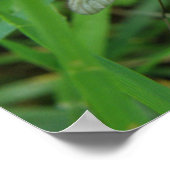 クレーンフライプリント ポスター (角)