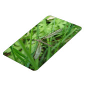 クレーンフライプレミアムマグネット マグネット (左側)