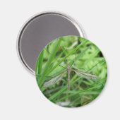 クレーンフライマグネット マグネット (正面/裏面)