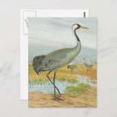 クレーン共通編 ポストカード (正面/裏面)