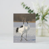 クレーン日本の踊りオン雪 ポストカード (スタンド正面)