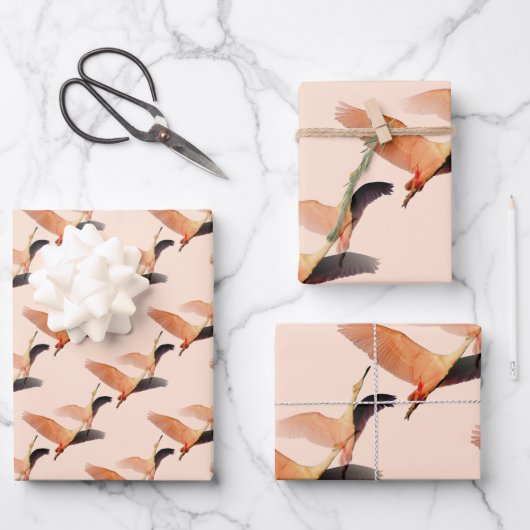 クレーン日本の ラッピングペーパーシート (正面)