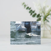 クレーン魚釣り ポストカード (スタンド正面)