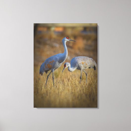 クレーン キャンバスプリント (正面)