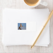 クレーン ラベル (インサイチュ)