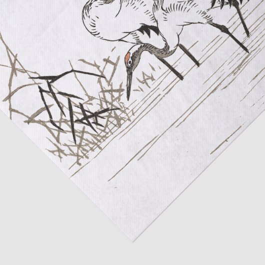 クレー日本のン鳥湿地野生生物ティッシュペーパー 薄葉紙 (詳細)