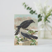 クロのヴィンテージ鳥類イラスト ポストカード (スタンド正面)